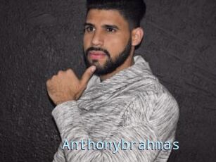 Anthonybrahmas