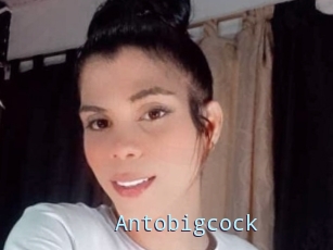 Antobigcock