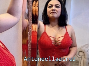 Antoneellaacruz