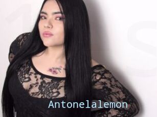 Antonelalemon