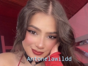 Antonelawildd
