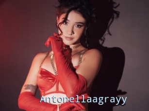 Antonellaagrayy