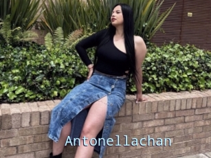 Antonellachan