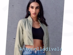 Antonelladivala