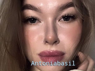 Antoniabasil