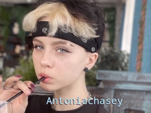 Antoniachasey