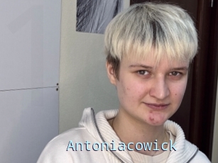 Antoniacowick