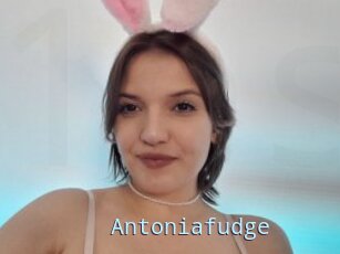 Antoniafudge