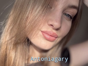 Antoniagary