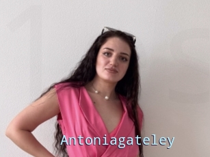 Antoniagateley