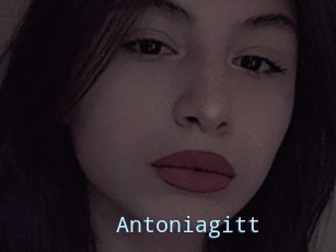 Antoniagitt