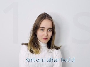 Antoniaharbold