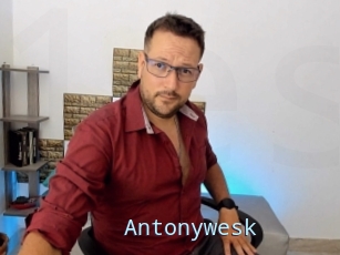 Antonywesk