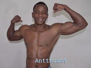 Antthuant