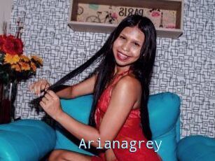 Arianagrey