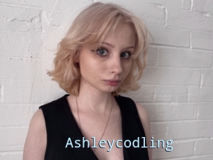 Ashleycodling