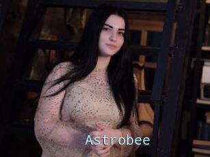 Astrobee