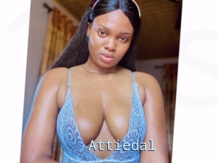 Attiedal