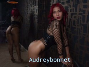 Audreybonnet