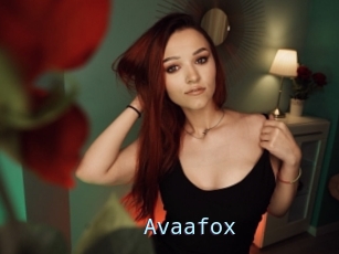 Avaafox