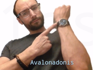 Avalonadonis