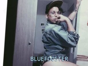 BLUEFOOSTER