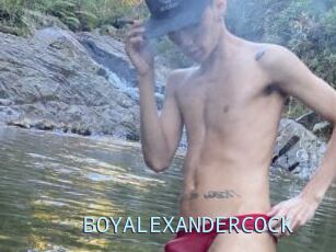BOYALEXANDERCOCK