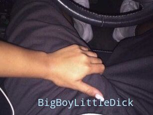 BigBoyLittleDick