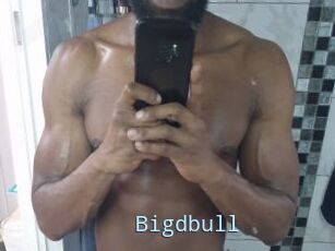 Bigdbull