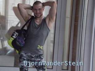 BjornVanderStein