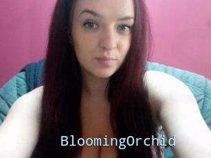 BloomingOrchid