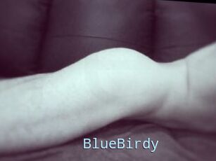 BlueBirdy