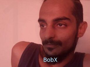 BobX