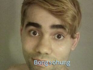 Bongsohung