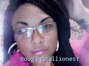 BougieStallionest