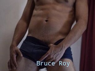 Bruce_Roy
