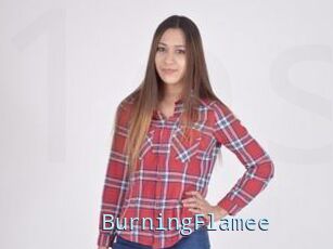 BurningFlamee