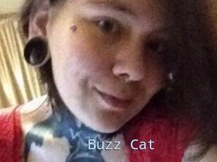 Buzz_Cat