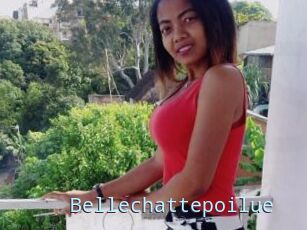 Bellechattepoilue