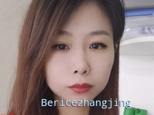 Bericezhangjing