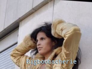Bigboobscherie