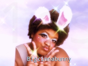 Bigcinnabunny