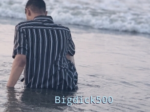 Bigdick500