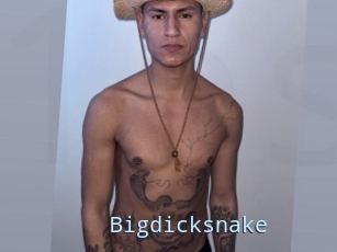 Bigdicksnake