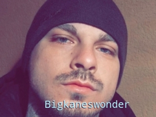 Bigkaneswonder