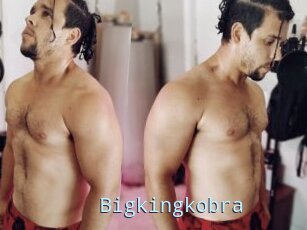 Bigkingkobra