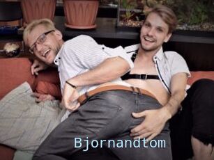 Bjornandtom