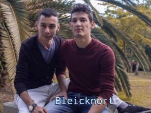 Bleicknort
