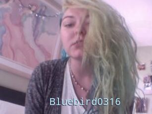 Bluebird0316