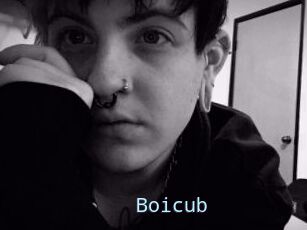Boicub